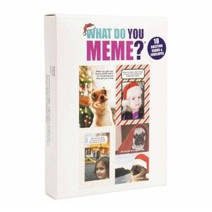 Holiday Christmas Cards Humorous Meme Boxed + Envelopes 10 Count NEW